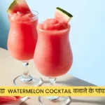 गर्मी में ठंडा Watermelon Cocktail बनाने के पांच नए रेसिपी